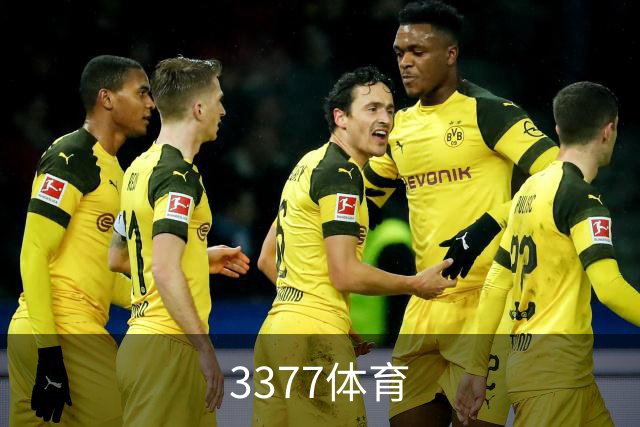3377体育公司简介